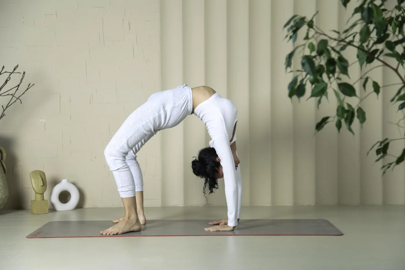 Wheel Yoga