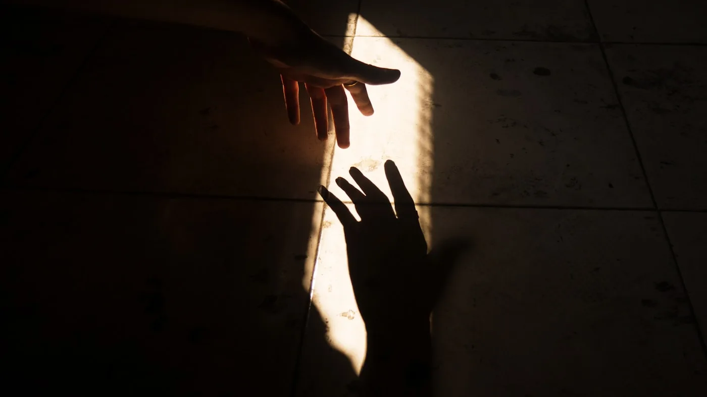Shadow Art Studio