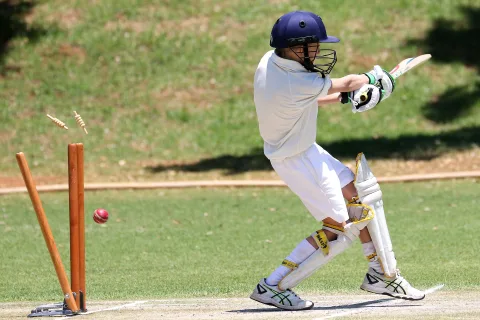 Sir Donald Bradman